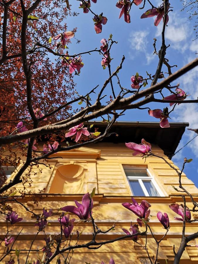 Хостел Vila Veselova, Ljubljana City Center Экстерьер фото